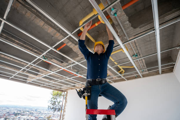 Best Plumbing Inspection Services  in Ripon, WI